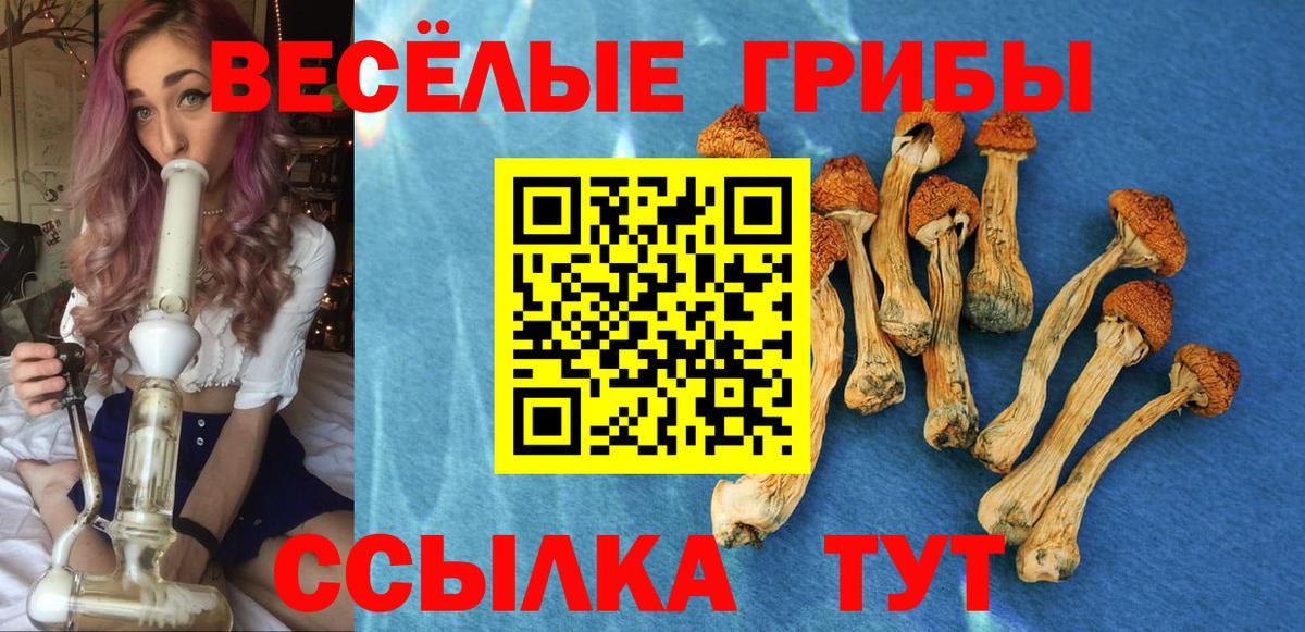 Галлюциногенные грибы Cubensis  Вход с VPN  Нижневартовск 